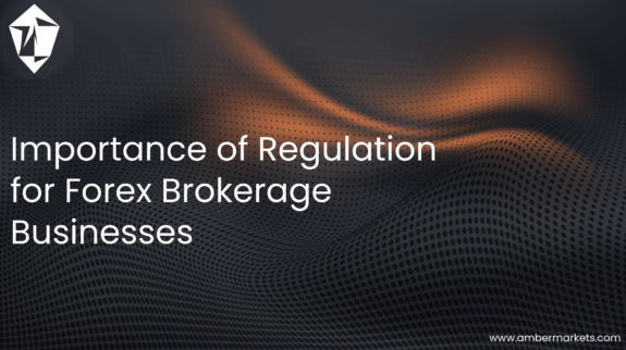 Importance of Regulations for Forex Brokerage Businesses