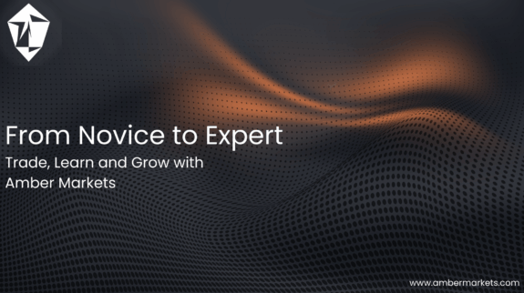 From Novice to Expert